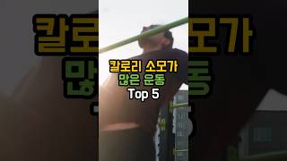 칼로리 소모가 많은 운동 Top 5