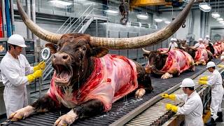 Inside Worldâs Largest Beef Processing Plant | How the Worldâs Largest Beef Plant Processes?