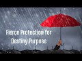 fierce protection for destiny purpose upgrades