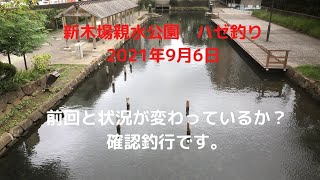 新木場親水公園　ハゼ釣り　前回と状況が変わっているか？確認釣行です。2021年9月6日