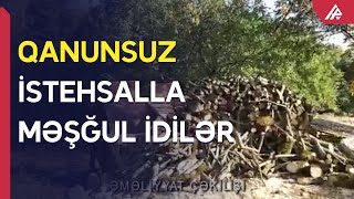 Qaxda qeyri-qanuni yolla ağac kömürü istehsal edən iki ocaqxana aşkarlanıb