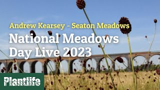 National Meadows Day 2023 Live from Seaton Meadows in Rutland