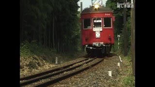 名鉄　谷汲線　廃線前　最後の夏①　ﾓ750形　線路に珍獣？現る！　谷汲線 2001/6 DV464