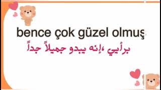 تعلم اللغة التركية بطريقة سهلة وبسيطة أهم جمل وعبارات سلسلة تعلم تركي للمبتدئين 🇹🇷