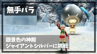 【トーラム】無手パラでジャイアントシルバーに挑戦 2023.09.14