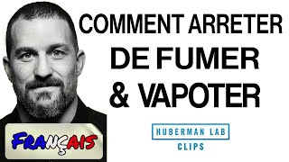 VF - Comment arrêter de fumer, de vapoter - Dr Andrew Huberman