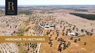 Herdade com 75 hectares no Alto Alentejo | Ref. 260