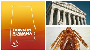 Alabama redistricting gets the go-ahead