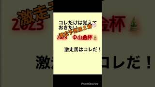 中山金杯2023 激走予想馬２着！#中山金杯2023 #競馬予想 #激走馬はコレだ　鼻差