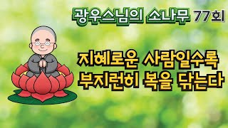 지혜로운 사람일수록 부지런히 복을 닦는다 | 광우스님의 소나무 77회