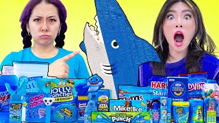 EATING ONLY ONE BLUE FOOD FOR 24 HOURS | LAST TO STOP EATING BLUE SNACK AT WALMART WINS BY SWEEDEE