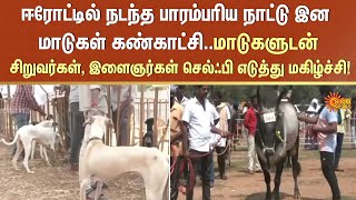 ஈரோட்டில் நடந்த பாரம்பரிய நாட்டு இன மாடுகள் கண்காட்சி | Erode | Sun News