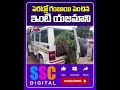 పెరట్లో గంజాయి పెంచిన ఇంటి యజమాని ganja balannamuchatlu sscdigital