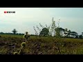 panas kepanasan | voc_Odon |gambus modern | official music video new Andana entertainment