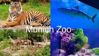 Tierpark Hellabrunn in München | See Life | Munich Zoo [4K]