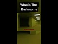 what is the backrooms