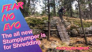 2021 Specialized Stumpjumper Evo | Will this be my next bike? | #letsgoridebikes