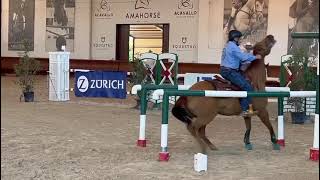 campionato italiano gimkana western 2024 Luca Sensolini cat. open