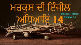 ਮਰਕੁਸ  ਦੀ ਇੰਜੀਲ ਅਧਿਆਇ 14 | Gospel of Mark Chapter 14 | Audio Bible |  2022 @Punjabi Bible Stories