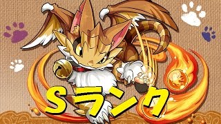 パズドラ　火の猫龍　Ｓランク　曲芸士