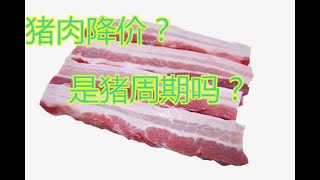 猪肉降价了？是受到猪周期的影响吗？二师兄该何去何从