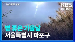 볕 좋은 가을날 [뉴스광장 영상]  / KBS  2024.09.24.