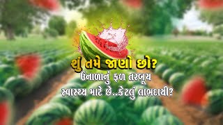 શું તમે જાણો છો? ઉનાળાનું ફળ તરબૂચ સ્વાસ્થ્ય માટે છે...કેટલું લાભદાયી?