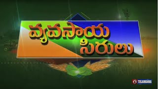 వ్యవసాయసిరులు  || VYAVASAYA SIRULU || Dt : 22-12-2021 ||