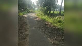 62 gunta with reasonable price agricultural land for sale ( 9110861228 )