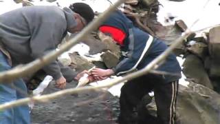 TWRA Winter Trout Stocking Program