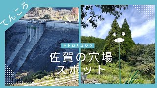 トトロの森とゴジラ見てきたよ【佐賀県】