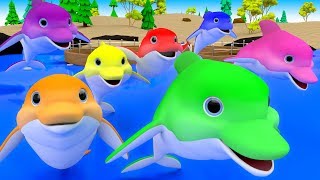 Colors for Children to Learn with Cartoon Dolphins Color Water 3D Kids Toddler Babies Learn Colors