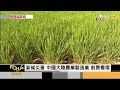 南旱北澇衝擊中國大陸經濟 gdp保3有難度 ｜秦綾謙｜focus全球新聞 20220819