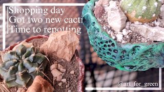 SHOPPING DAY - GOT TWO NEW CACTI - TIME TO REPOTTING