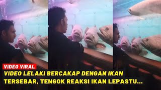 VIDEO LELAKI BERCAKAP DENGAN IKAN TERSEBAR, TENGOK REAKSI IKAN LEPASTU...