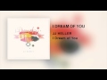 JJ Heller - I Dream of You (Official Audio Video)