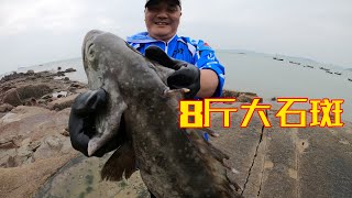 8个猪肺500平的巨无霸坑，坑中惊现8斤大石斑，一条至少卖1000块