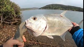 Umkomaas River Tagged Kingfish