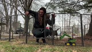 Review of CAKOSSY Heavy Duty Metal Pet Dog Playpen [32\