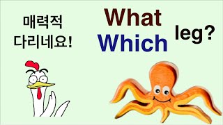 Q5 English 어휘 Lesson 357 (어느 것, 어느 사람, 무엇 - what vs which)