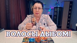 ВОЛОСЫ ДЫБОМ! О ЧЕМ ОН СОЖАЛЕЕТ В УХОДЯЩЕМ ГОДУ?