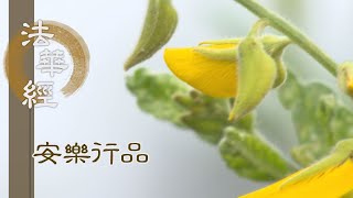 【靜思妙蓮華】法華經安樂行品 - 年少輕躁 道業難貫 - 20230418 第1395集