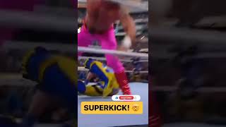Seth Rollins Super Kick to Logan Paul😱 #wwe #wrestling #sethrollins