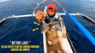 Mancing Dasaran Pakai Umpan Hidup Anak Ikan Karang