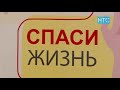 Жаңылыктар 14.06.21 Күндүзгү чыгарылыш – 15.00 НТС Кыргызстан