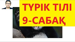 Түрік тілін үйрену | Түрік тілі 9-сабақ. Сәлеметсіз бе. Атыңыз кім? - 1 | Түрікше | Түрікше үйрену