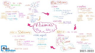 07 Vitamin B9 (Folic a.) metabolism - Moaz Wahdan