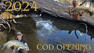 Land based Murray COD fishing in Central West NSW! Spinner baits and Surface Lures