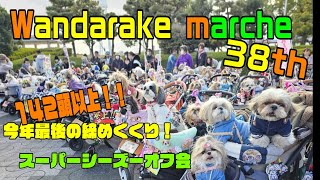 【シーズー】今年最後のスーパーシーズーオフ会に参戦してきました！！#多頭飼い#愛犬とおでかけ#わんだらけマルシェ