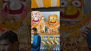 #baliyatra 2024 #ବାଲିଯାତ୍ରା ୨୦୨୪ #Balijatra 2024 #Youtube Shorts